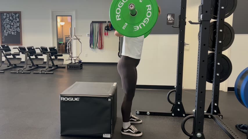 Barbell Box Squat