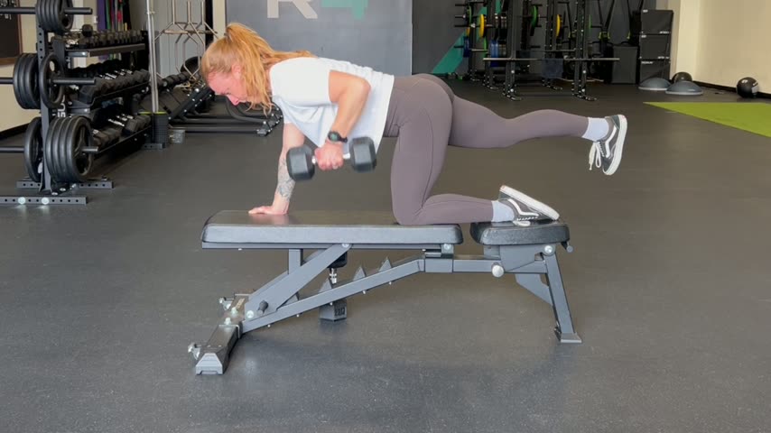 Bird Dog Row with Balance Drop
