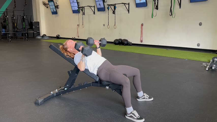 Incline Dumbbell Chest Press